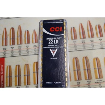 .22LR CCI Mini-Mag 40gr Round Nose Box of 100 .22LR CCI Mini-Mag 40gr Round Nose Box of 100